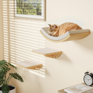 Wall-Mounted Cat Shelf