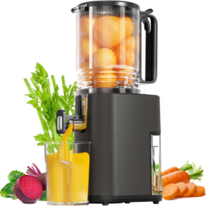 Masticating Juicer