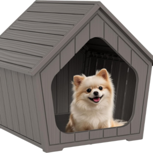 Small Dog House