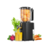 Masticating Juicer