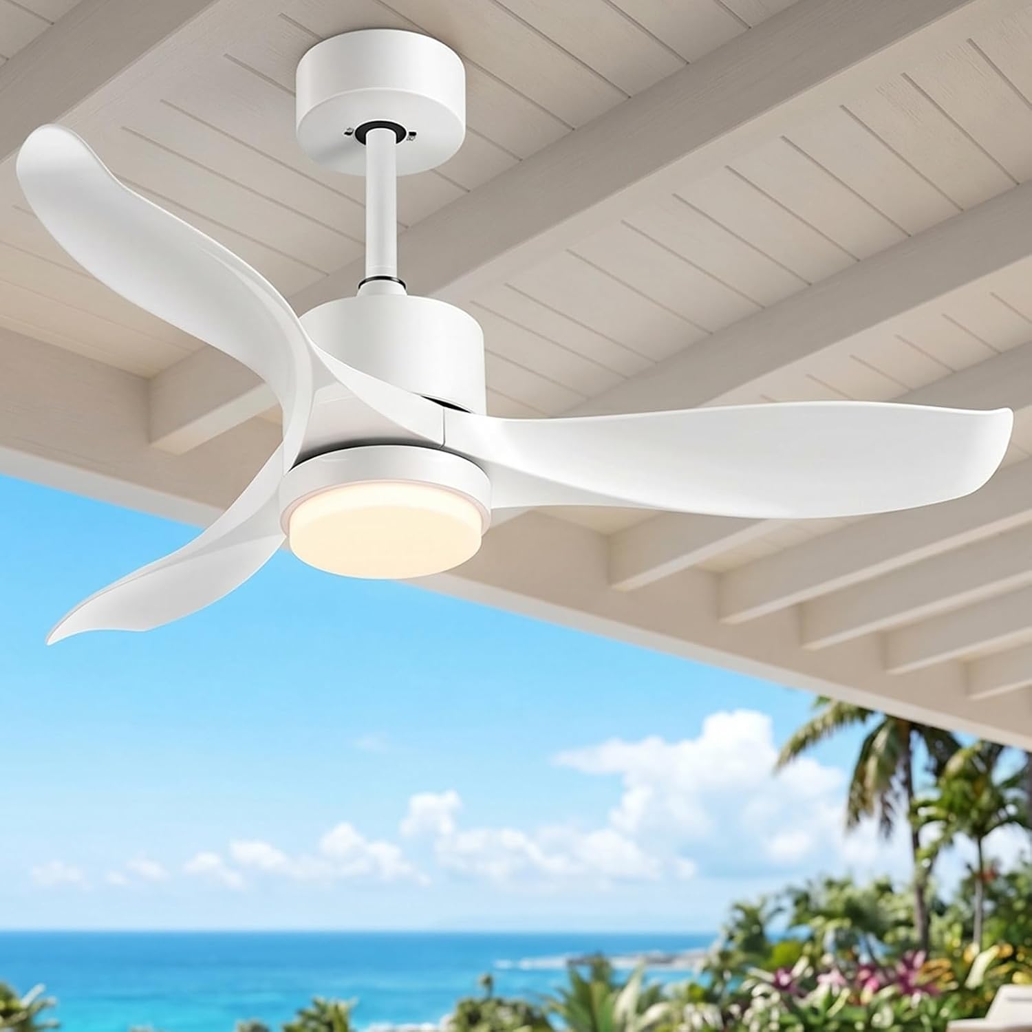 Ceiling Fan with Light