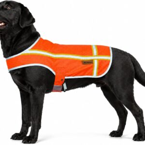 Dog Safety Vest