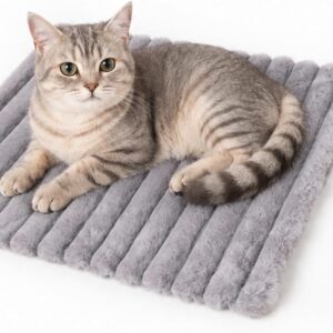 Electric Pet Heating Pad