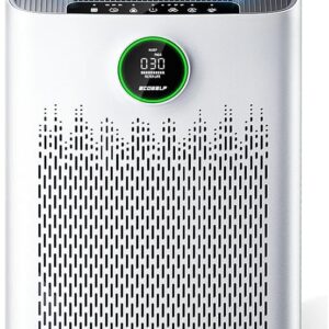 Air Purifier