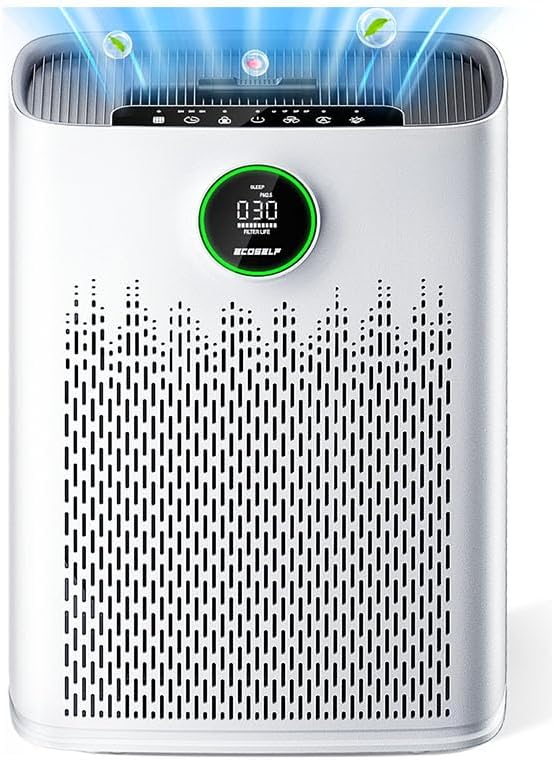 Air Purifier