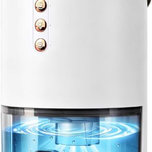 Mini Dehumidifier