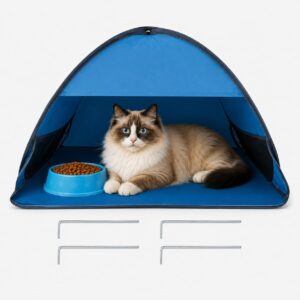 Cat Feeding Station