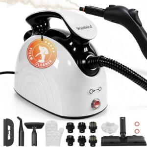 Steam Cleaner