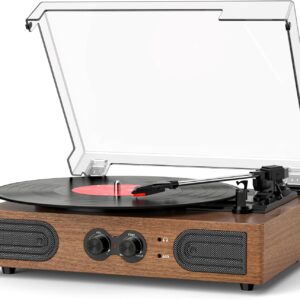 Vinyl Record Player