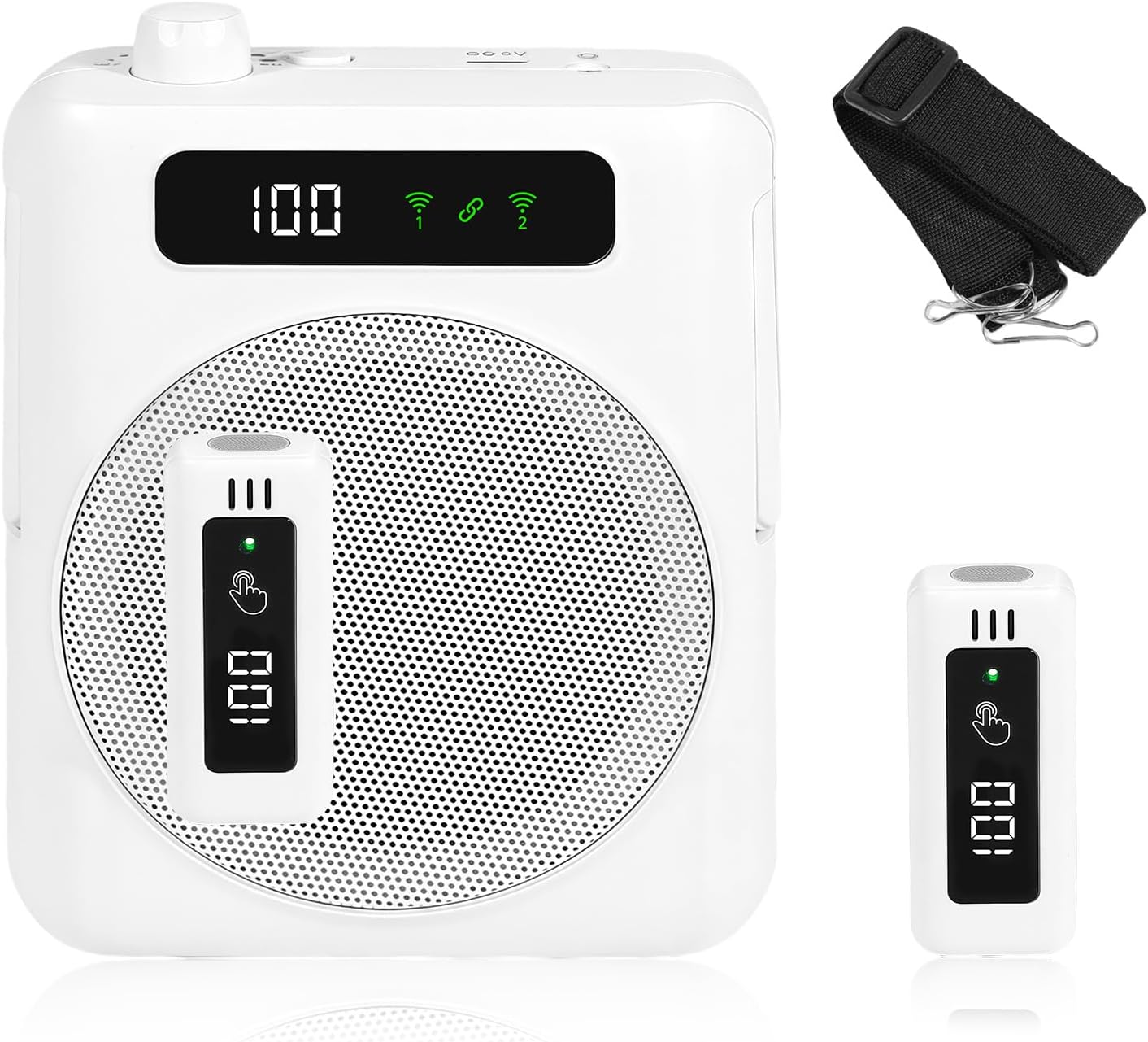 Voice Amplifier