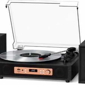 Vinyl Record Player