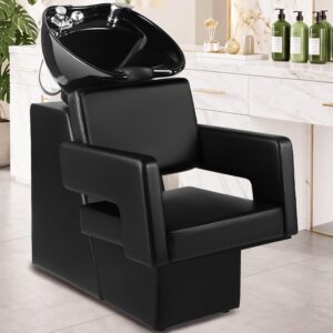 Salon Backwash Chair