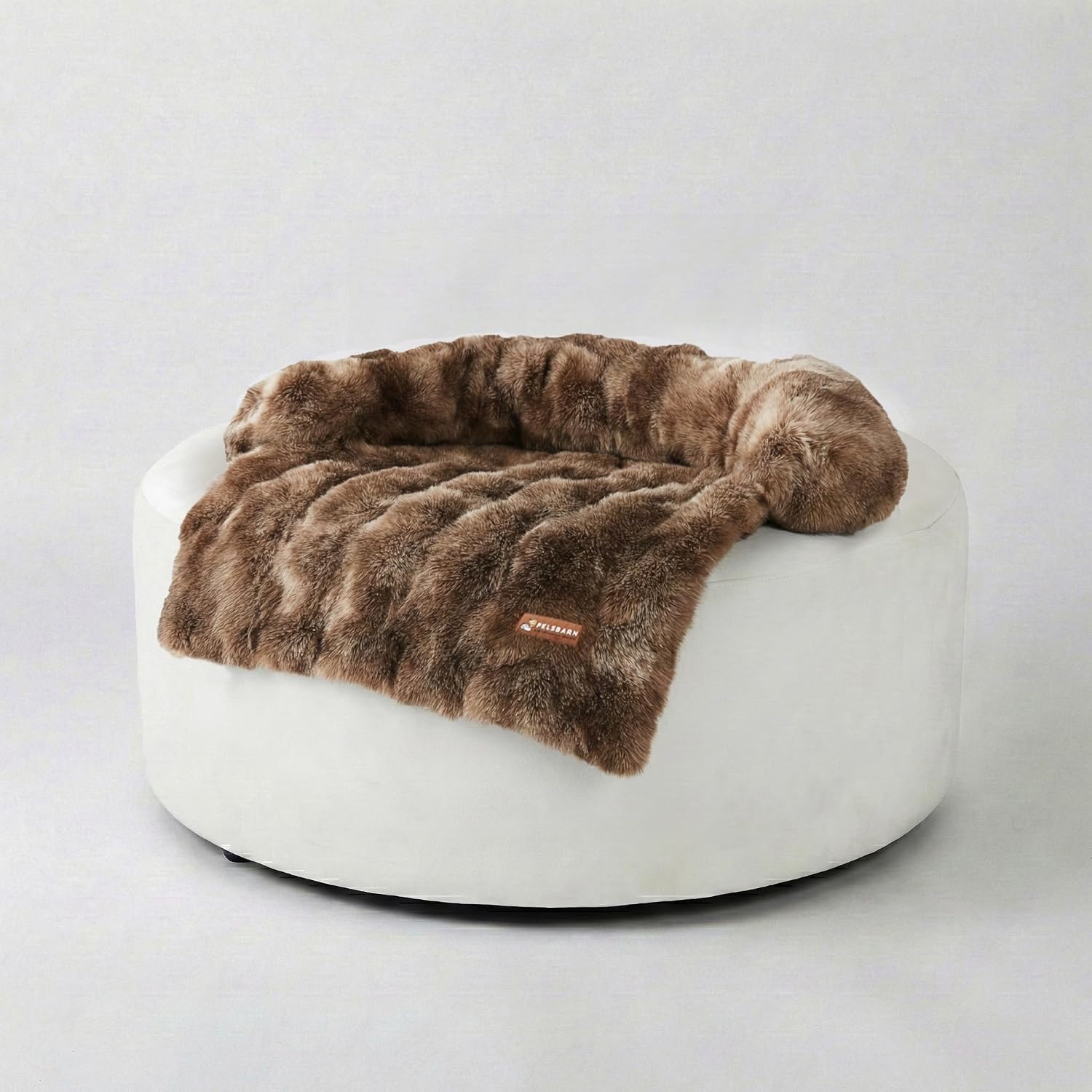 Dog Couch Bed