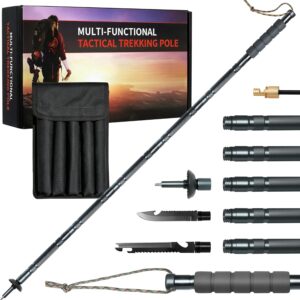 Hiking Stick