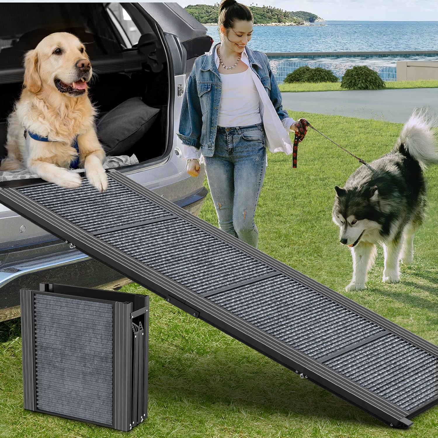 Dog Ramp